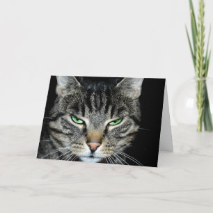 Carte Pensez à vous si loin Angry Cat