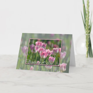 Carte Pensez à vous tulipes roses