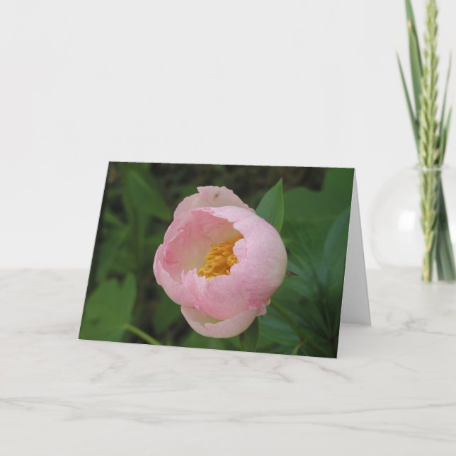Carte Peony (Devant)