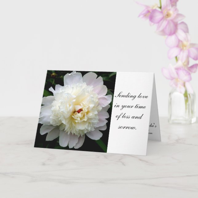 Carte Peony blanc Sympathy (Orchidée)