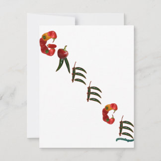 Carte Peppers Chili de Grèce