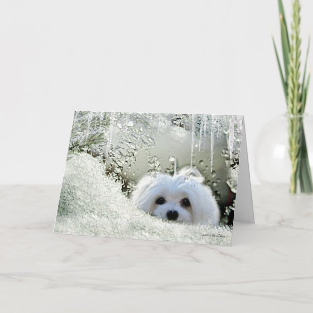 Carte Perce-neige que la "pensée maltaise à vous" (Devant)