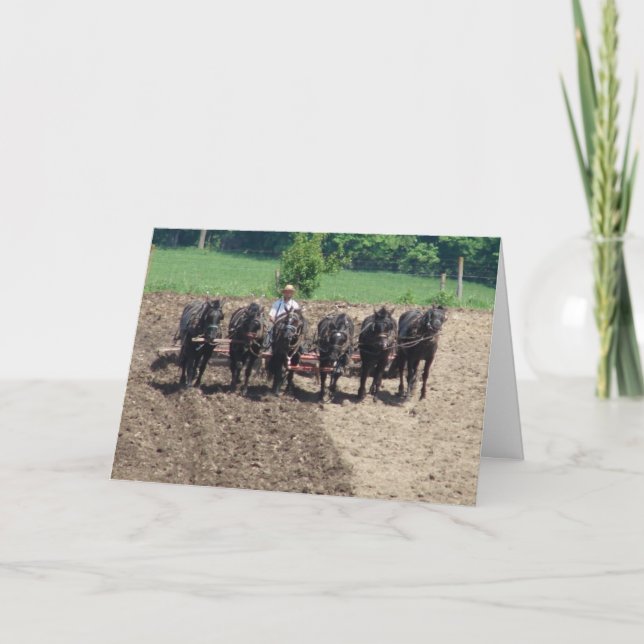 Carte Percherons au travail (Devant)