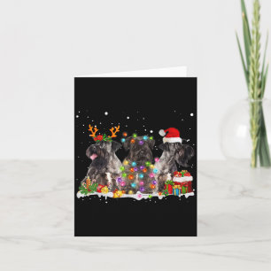 Carte Père Noël Cesky Terrier Chien Renne Magnifique Noë