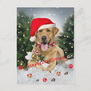 Carte Père Noël du laboratoire jaune