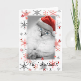 Carte père Noël kitty noël