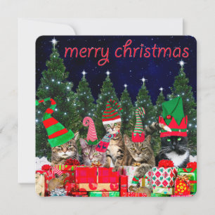Carte "Père Noël Little Mousers" - Cat Christmas Card