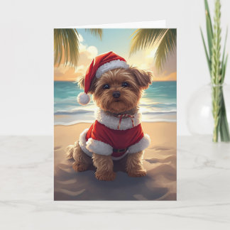 Carte Père Noël Paws prend la plage - Shih Tzu Noël
