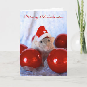 Carte père Noël Rattie