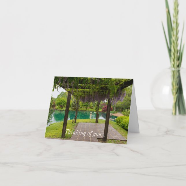 Carte Pergola De Wisteria (Devant)