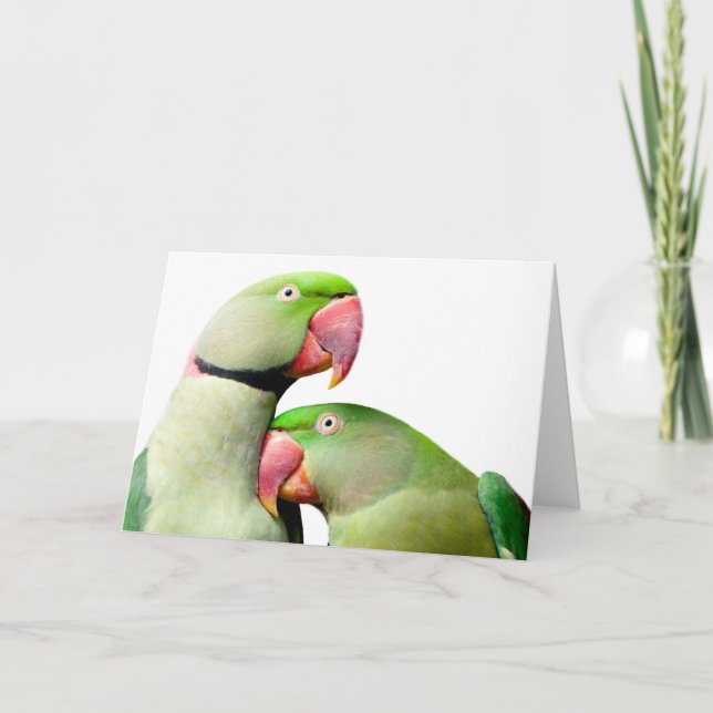 Carte perroquet (Devant)