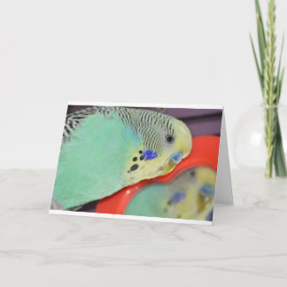 Carte Perruche regardant dans le miroir