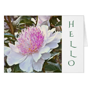 CARTE PERSONNALISABLE /BLANC ET ROSE PEONY/HELLO