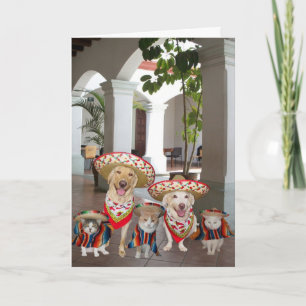 Carte Personnalisable Cinco de Mayo