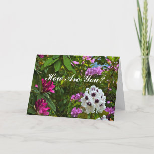CARTE PERSONNALISABLE, "COMMENT ÊTES-VOUS ?"/RHODO
