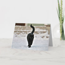 Carte personnalisable de chat noir mignon