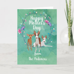 Carte Personnalisable Podenco Chien Maman Fête des Mères