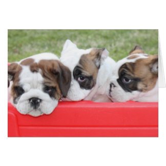 Carte personnalisable Puppy Love