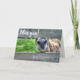 Carte Personnalisé Mlle Vous Souhaitez Que Je Vous Voie 