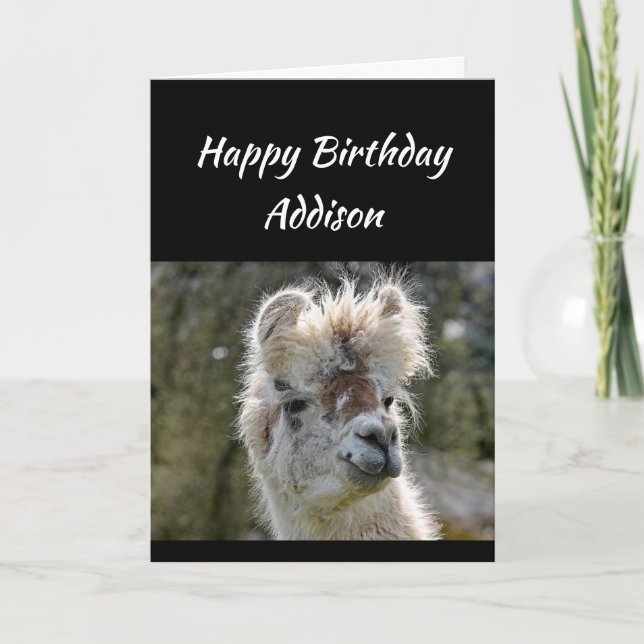 Carte Personnalisé Nom Amusant Anniversaire Mauvais Chev (Devant)
