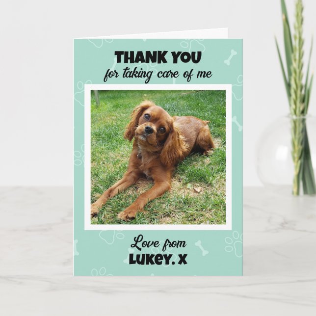 Carte Personnalisé Vet Tech Pet Care Merci photo (Devant)