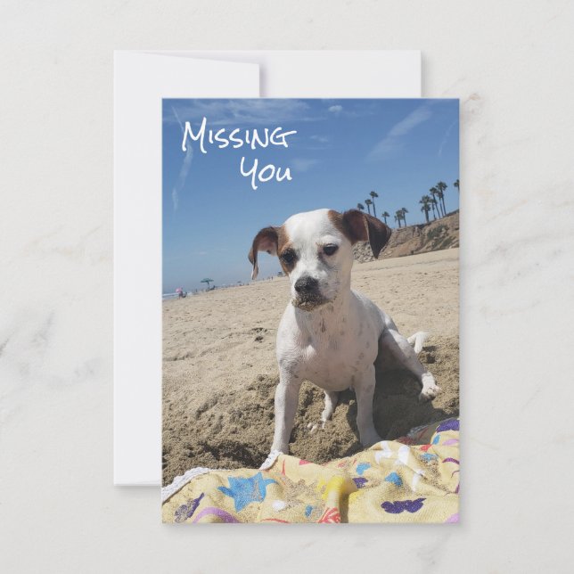 Carte personnalisée d'absence pour chien (Devant)