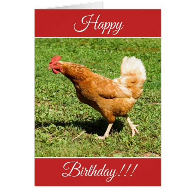 Carte personnalisée de coq de joyeux anniversaire (Devant)