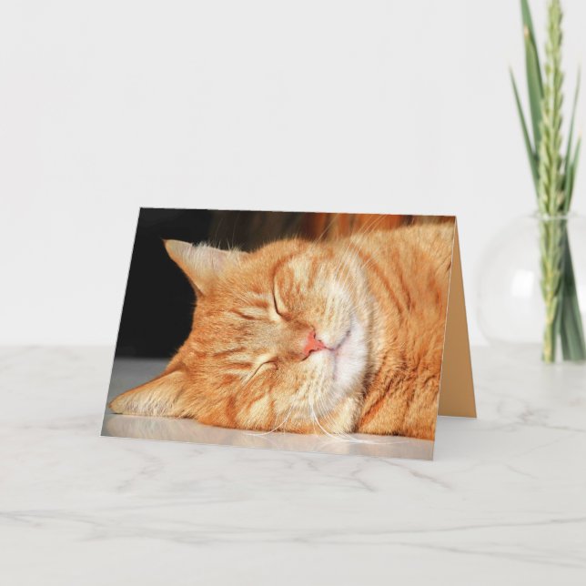 Carte personnalisée Orange Kitty Cat Cute (Devant)