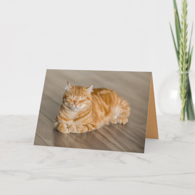 Carte personnalisée Orange Kitty Cat Cute (Devant)