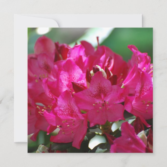 Carte Personnaliser (Devant)