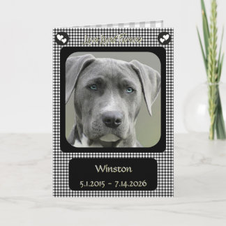 Carte Perte à carreaux noirs et blancs de chien de compa