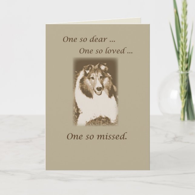 Carte Perte d'animal de compagnie, Sympathie du chien de (Devant)