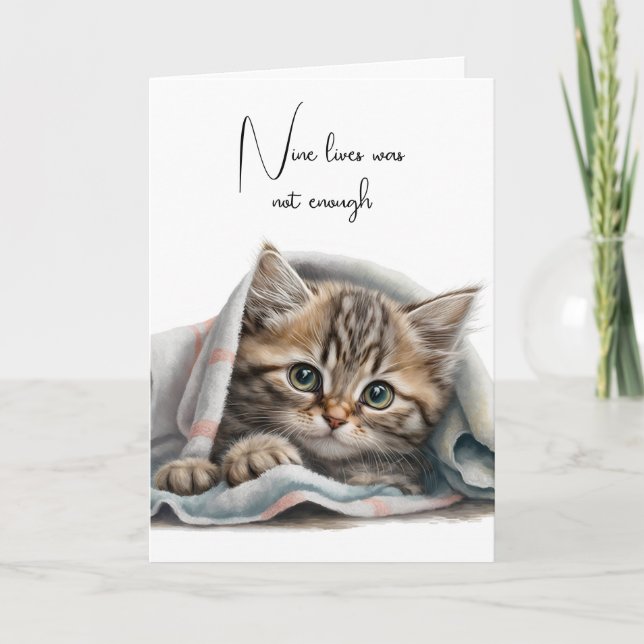 Carte Perte d'animal familier Kitty dans une couverture (Devant)