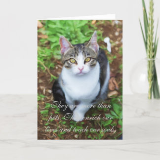 Carte Perte de chat