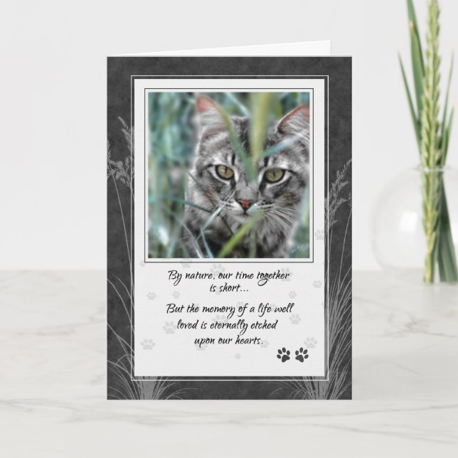 Carte Perte de chat gris Tabby Pet Sympathie (Devant)