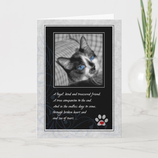 Carte Perte de chat Noir et blanc Calico Pet Sympathie (Devant)