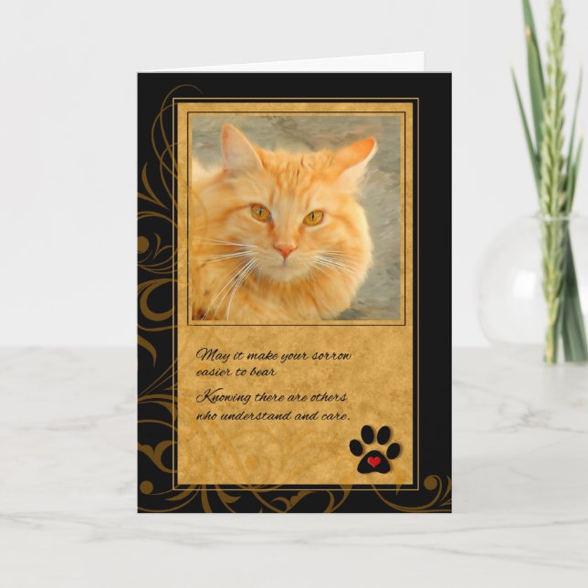 Carte Perte de chat Orange Tabby et Gold Pet Sympathie (Devant)
