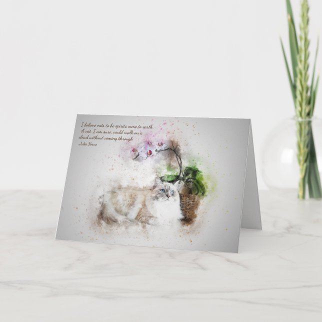 Carte Perte de chat pour animaux de compagnie Jules Vern (Devant)