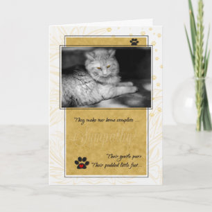Carte Perte de chats Sympathie avec les animaux de compa
