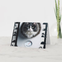 Perte de poids Humour Chat sur une échelle