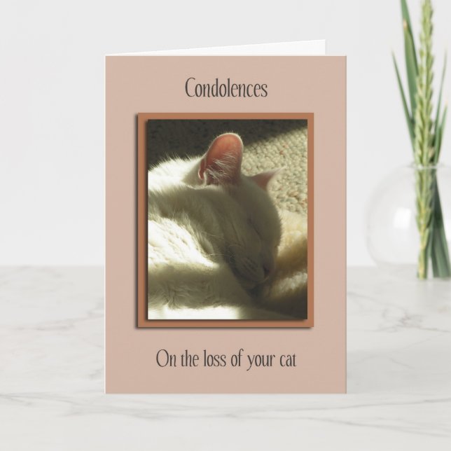 Carte Perte de sympathie de l'animal de compagnie sur la (Devant)