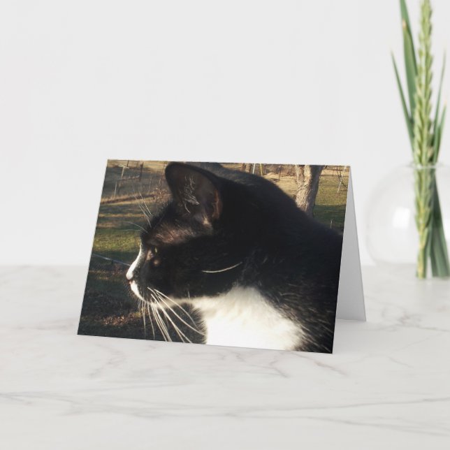 Carte Perte d'un animal de compagnie (Devant)