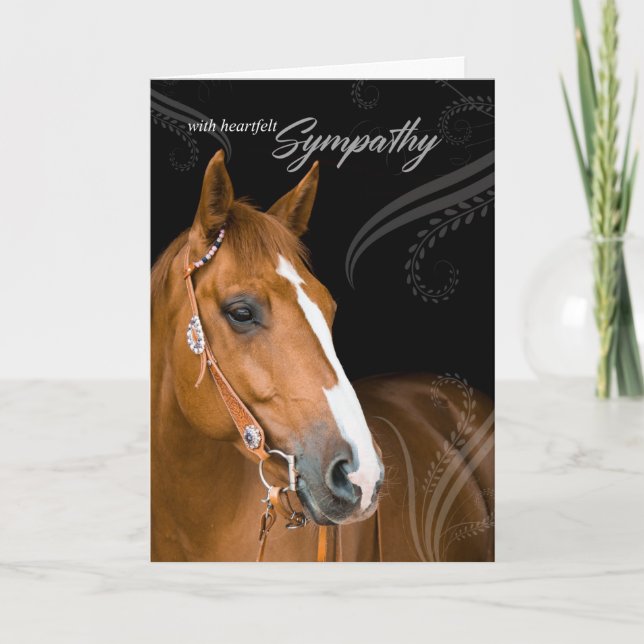 Carte Perte d'un animal de compagnie de cheval Sympathie (Devant)