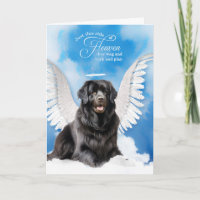 Perte d'un animal de compagnie de chiens de Terre-