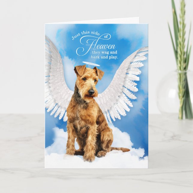 Carte Perte d'un animal de compagnie Lakeland Terrier Ch (Devant)