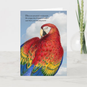 Carte Perte d'un animal familier Sympathie arc-en-ciel P
