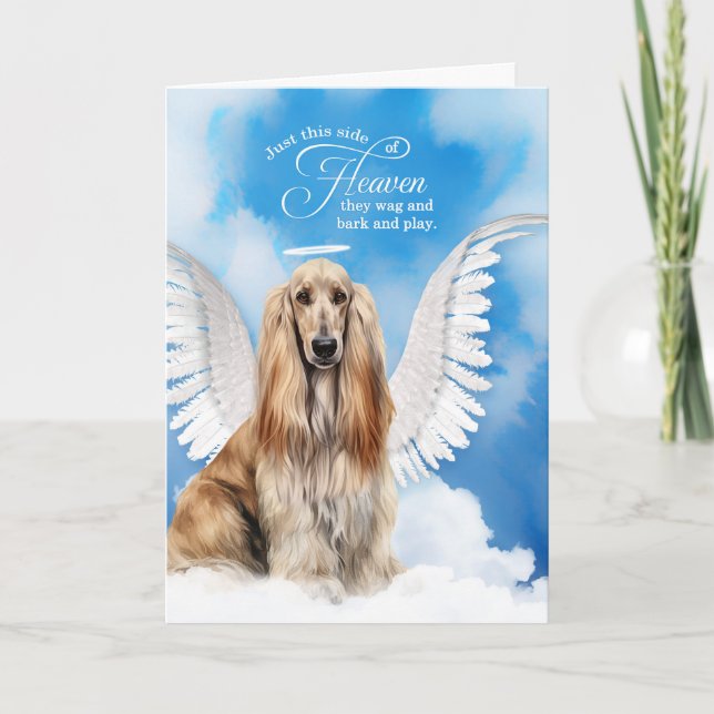 Carte Perte d'un chien Afghan Hound Angel Pet Sympathie (Devant)