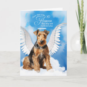 Carte Perte d'un chien Airedale Terrier Ange Animal de c