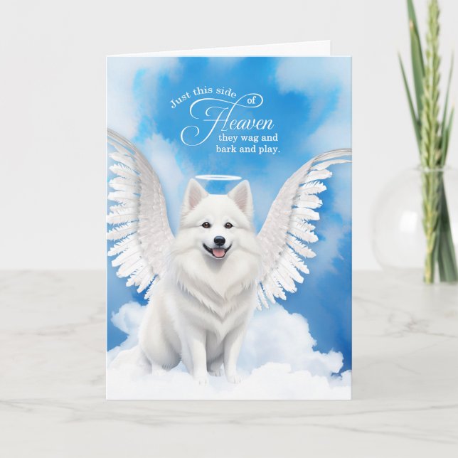Carte Perte d'un chien américain Eskimo Angel Pet Sympat (Devant)