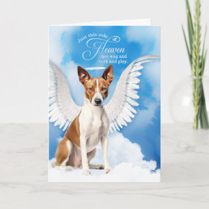 Carte Perte d'un chien Basenji Angel Chien Animal Sympat